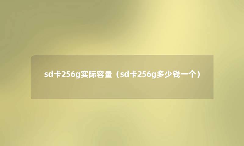 sd卡256g实际容量（sd卡256g多少钱一个）