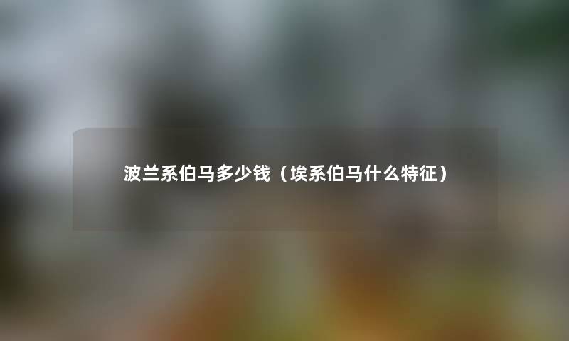 波兰系伯马多少钱（埃系伯马什么特征）