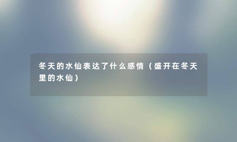 冬天的水仙表达了什么感情（盛开在冬天里的水仙）