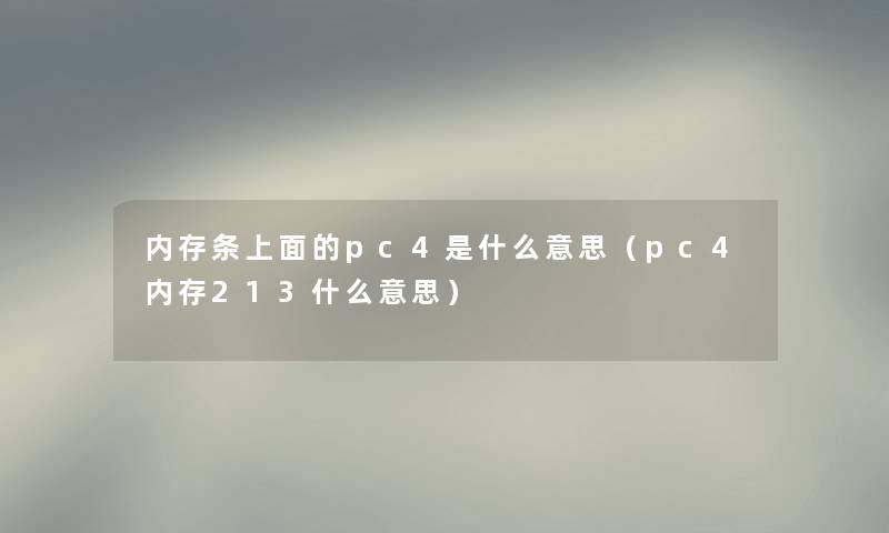 内存条上面的pc4是什么意思（pc4内存213什么意思）