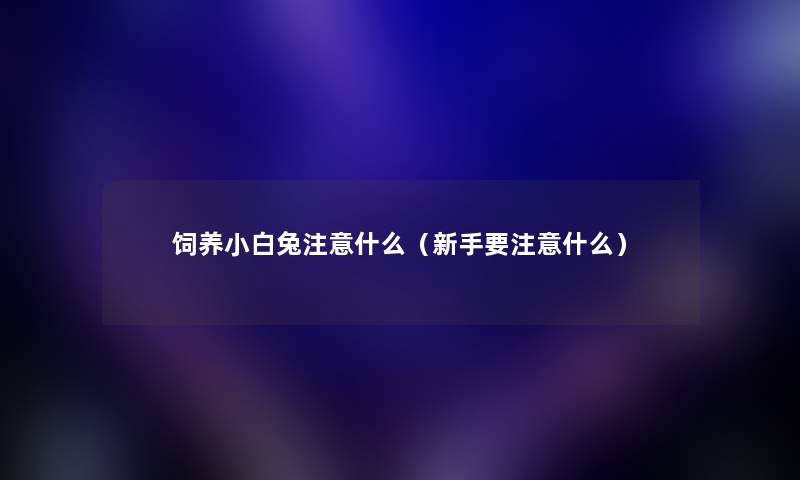 饲养小白兔注意什么（新手要注意什么）