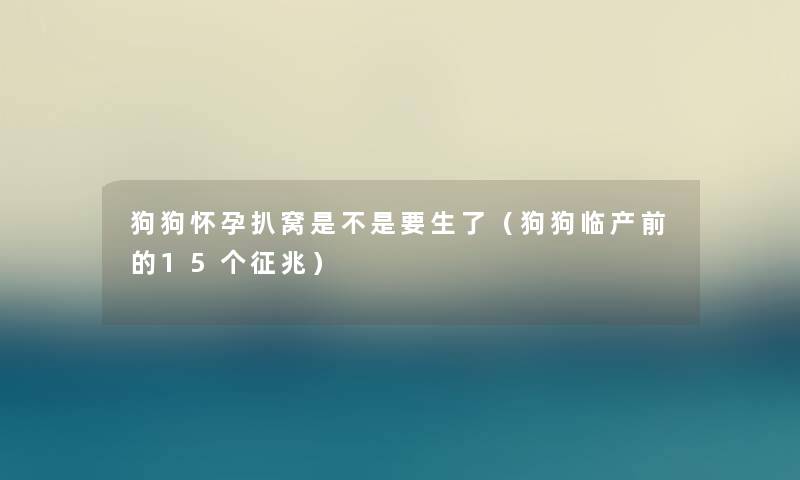 狗狗怀孕扒窝是不是要生了（狗狗临产前的15个征兆）